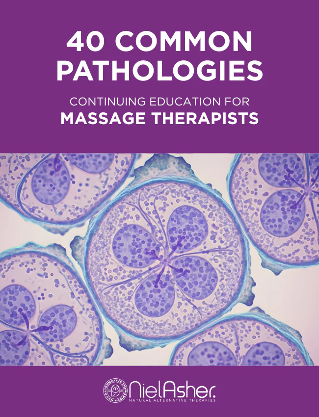 NCBTMB Accredited Courses